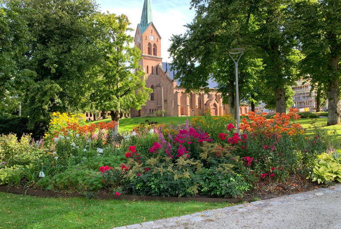 Design uten navn(142) Design uten navn(142)