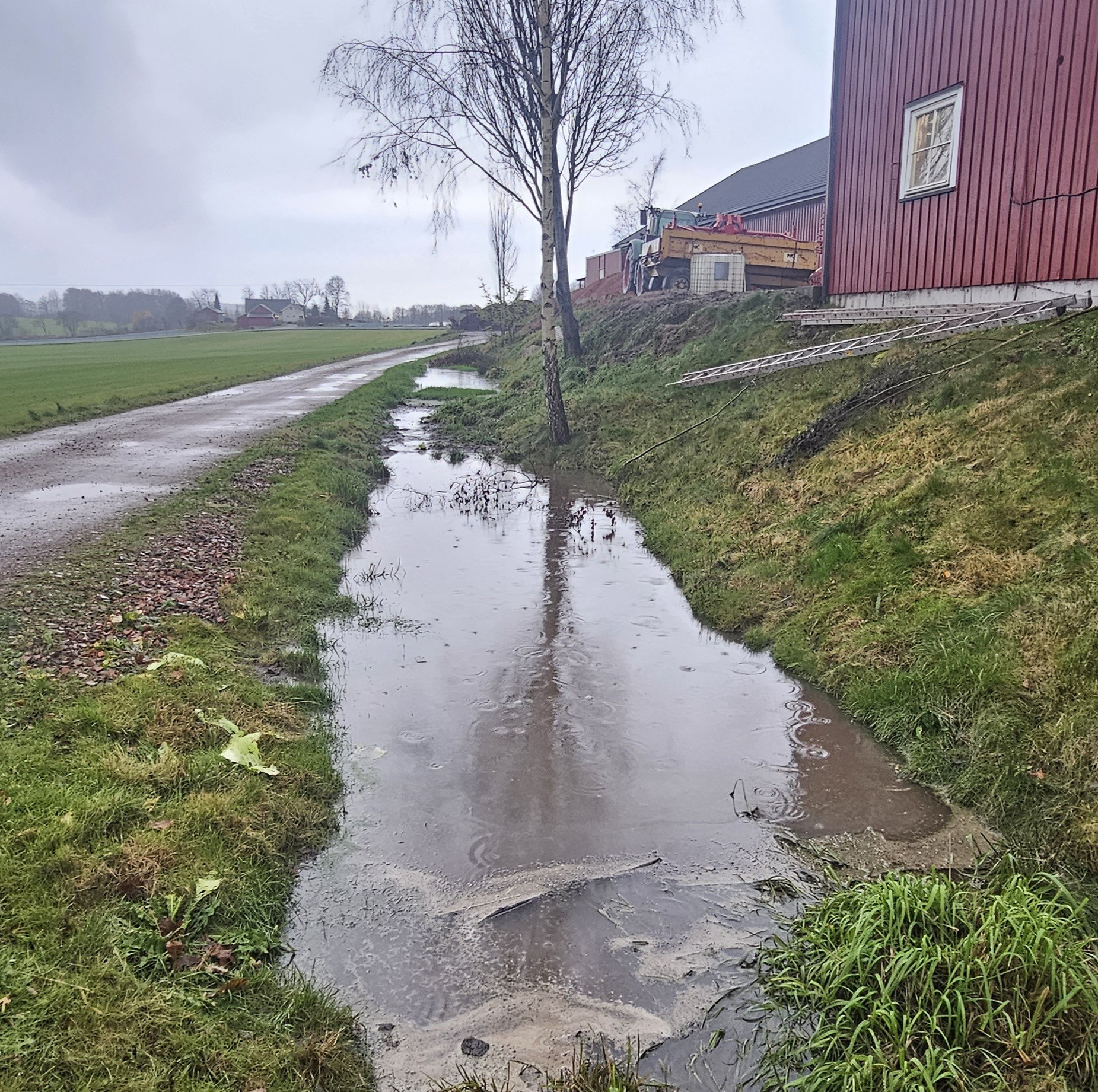 LOD 9 Regngrøftjord 131125 V2