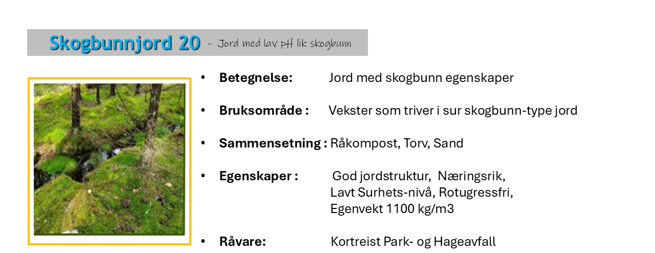Skogbunn for web 110126